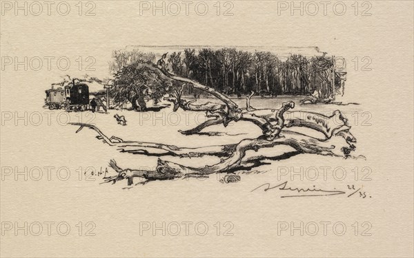 Fontainebleau Forest: Carrefour de l'Epine (La Forêt de Fontainebleau: Carrefour de l'Epine), 1890. Auguste Louis Lepère (French, 1849-1918), A. Desmoulins, Published in Revue Illustrée, 1887-90. Wood engraving from bound volume of 34 ; image: 4.5 x 10.3 cm (1 3/4 x 4 1/16 in.)