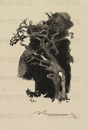 Fontainebleau Forest: The Raging One (La Forêt de Fontainebleau: Le rageur), 1890. Auguste Louis Lepère (French, 1849-1918), A. Desmoulins, Published in Revue Illustrée, 1887-90. Wood engraving from bound volume of 34 ; sheet: 17.6 x 12.5 cm (6 15/16 x 4 15/16 in.); image: 8.2 x 5.9 cm (3 1/4 x 2 5/16 in.).