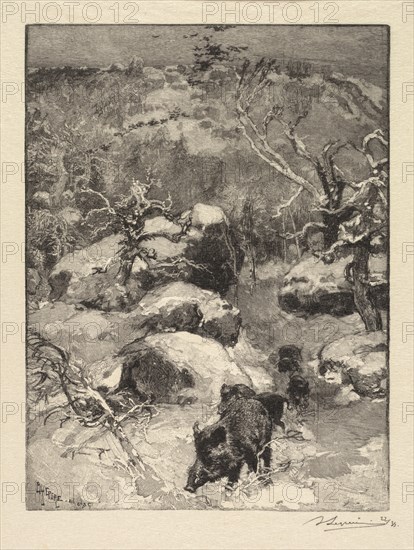 Fontainebleau Forest: Cuvier-Châtillon Cliff (La Forêt de Fontainebleau: Roche Cuvier-Châtillon), 1890. Auguste Louis Lepère (French, 1849-1918), A. Desmoulins, Published in Revue Illustrée, 1887-90. Wood engraving from bound volume of 34 ; image: 21.9 x 16.4 cm (8 5/8 x 6 7/16 in.)