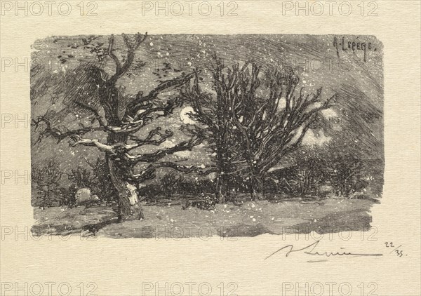 Fontainebleau Forest: Au dormoir de Lantara (La Forêt de Fontainebleau: Au dormoir de Lantara), 1890. Auguste Louis Lepère (French, 1849-1918), A. Desmoulins, Published in Revue Illustrée, 1887-90. Wood engraving from bound volume of 34 ; sheet: 15.4 x 22.2 cm (6 1/16 x 8 3/4 in.); image: 6.4 x 11.3 cm (2 1/2 x 4 7/16 in.)