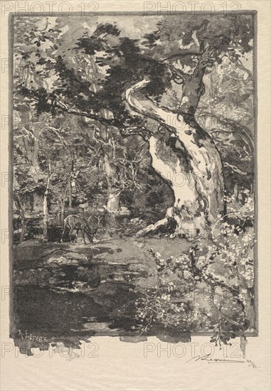 Fontainebleau Forest: Le Clovis, Plateau de Bellecroix (La Forêt de Fontainebleau: Plateau de Belle-Çroix, le Clovis), 1890. Auguste Louis Lepère (French, 1849-1918), A. Desmoulins, Published in Revue Illustrée, 1887-90. Wood engraving from bound volume of 34 ; image: 22.8 x 16.3 cm (9 x 6 7/16 in.)