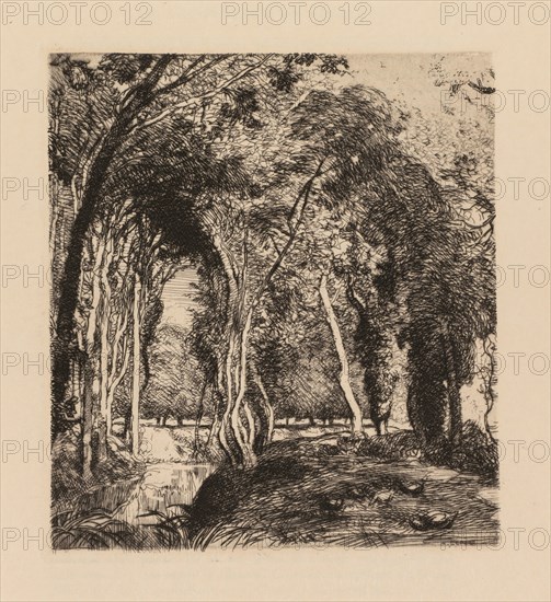 Auguste Lepère: Sous bois, à la Rigonette (Vendèe). Auguste Louis Lepère (French, 1849-1918). Etching, from bound volume with seven etchings; sheet: 30.7 x 22.6 cm (12 1/16 x 8 7/8 in.); platemark: 17.7 x 17.2 cm (6 15/16 x 6 3/4 in.).