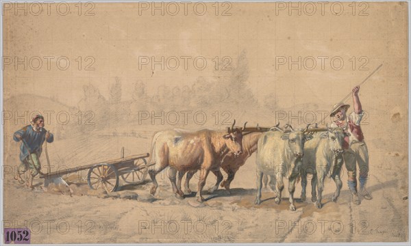 Four Oxen Pulling a Plough, 1853. Constant Troyon (French, 1810-1865). Black chalk and gouache with graphite and gum Arabic and traces of white chalk in sky, squared for transfer in black chalk; sheet: 35.5 x 28.1 cm (14 x 11 1/16 in.).