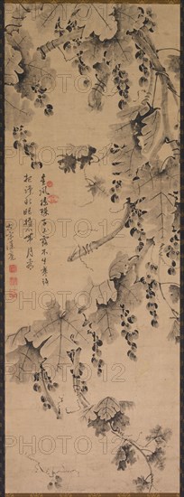 Grapevine, 1700s to 1800s. China, Qing dynasty (1644-1911). Hanging scroll; ink on paper; overall: 113 x 40.5 cm (44 1/2 x 15 15/16 in.).