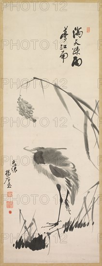 Egret and Reeds, late 1800s. Yang Ki-hun (Seuk-Eun) (Korean, 1843-1919?). Hanging scroll; ink on paper; overall: 196 x 61 cm (77 3/16 x 24 in.).
