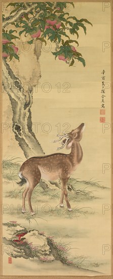 Symbols of Longevity: Deer under Peach and Pine (Pine) (right), 1801. Toda Tadanaka (Japanese, 1761-1823). Pair of hanging scrolls; ink and color on silk (ivory roller ends); overall: 197.8 x 68.7 cm (77 7/8 x 27 1/16 in.); painting only: 135.1 x 54 cm (53 3/16 x 21 1/4 in.); scroll: 197.8 x 74.6 cm (77 7/8 x 29 3/8 in.).