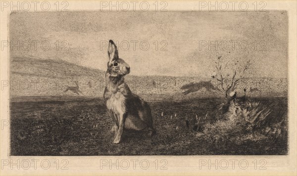 The Hare (Le Lièvre), 1865. After Albert de Balleroy (French, 1828-1873), Félix Bracquemond (French, 1833-1914). Soft-ground etching and drypoint