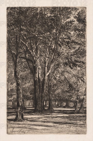 Kensington Gardens, No. 2 (The Larger Plate), 1860. Francis Seymour Haden (British, 1818-1910). Etching with drypoint
