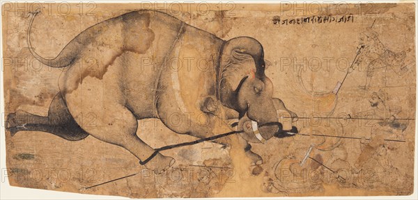 Rao Ram Singh’s Elephant Gone Amok, c. 1700. Northwestern India, Rajasthan, Rajput Kingdom of Kota. Opaque watercolor, ink, and gold on paper; page: 20 x 41.6 cm (7 7/8 x 16 3/8 in.).
