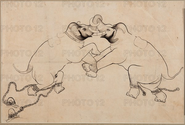 Two Elephants in Combat, early 1700s. Northwestern India, Rajasthan, Kota. page: 35.6 x 53.4 cm (14 x 21 in.).