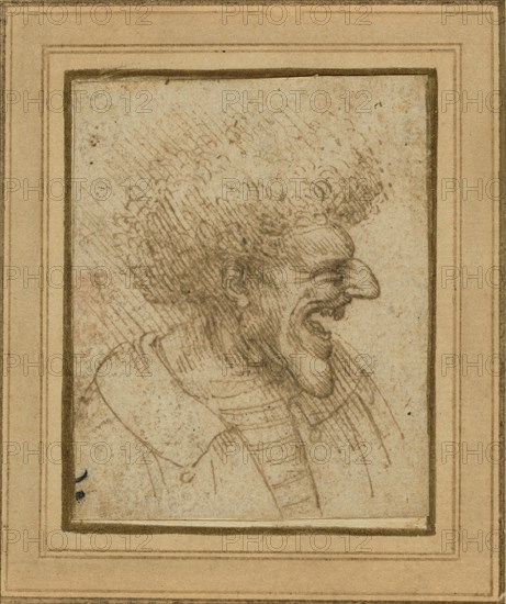 Caricature of a Man with Bushy Hair; Leonardo da Vinci, Italian, 1452 - 1519, about 1495; Pen and brown ink; 6.6 x 5.4 cm