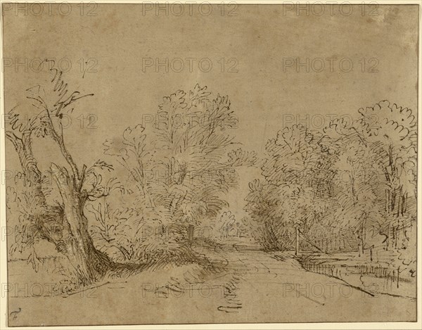 A Wooded Road; Rembrandt Harmensz. van Rijn, Dutch, 1606 - 1669, about 1650; Pen and brown ink and brown wash on paper toned