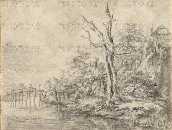 Dead Tree by a Stream at the Foot of a Hill; Jacob van Ruisdael, Dutch, 1628,1629 - 1682, about 1650 - 1660; Black chalk, point