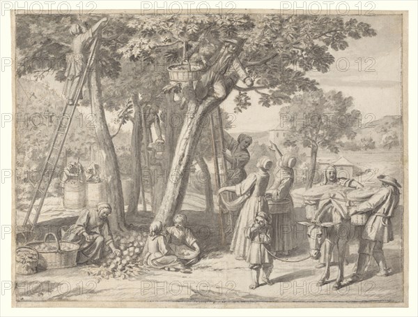 An Apple Harvest; Claude Simpol, French, 1666 - 1716, France; about 1700; Brush and gray wash and black chalk, incised