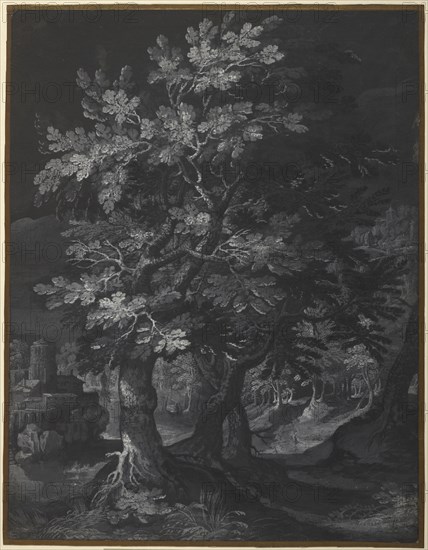 Forest Scene; Circle of Gillis van Coninxloo, Flemish, 1544 - 1607, about 1595 - 1610; Brush and gray and white gouache