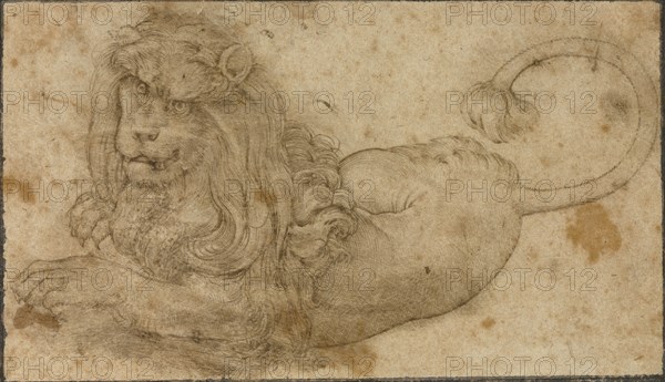 Study of a Lion; Lucas Cranach the Elder, German, 1472 - 1553, Germany; 1509; Pen and brown ink; 6.8 x 11.9 cm