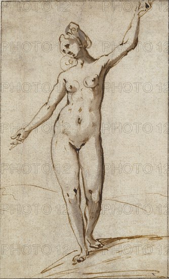 Female Nude; Karel van Mander, Dutch, 1548 - 1606, Holland; about 1590; Pen and brown ink and grayish brown wash over black