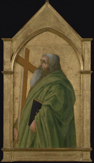 Saint Andrew; Masaccio, Tommaso di Giovanni Guidi, Italian, Florentine, 1401 - 1428, 1426; Tempera and gold leaf on panel