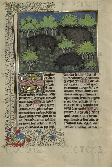 Wild Boars; Brittany, France; about 1430 - 1440; Tempera colors, gold paint, silver paint, and gold leaf on parchment; Leaf: 26.