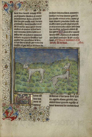 Hunting Dogs; Brittany, France; about 1430 - 1440; Tempera colors, gold paint, silver paint, and gold leaf on parchment; Leaf