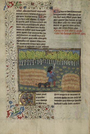 A Hunter and a Dog Tracking between a Field and a Forest; Brittany, France; about 1430 - 1440; Tempera colors, gold paint