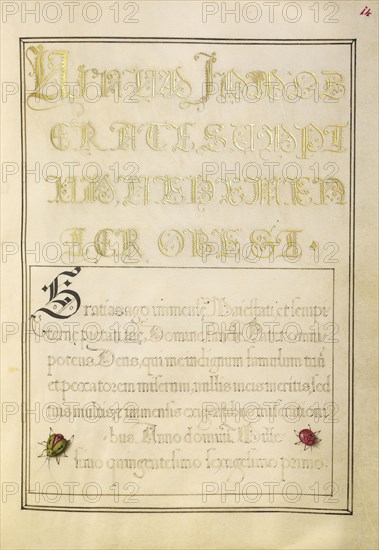 Beetlelike Insects; Joris Hoefnagel, Flemish , Hungarian, 1542 - 1600, and Georg Bocskay, Hungarian, died 1575, Vienna