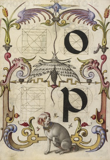 Guide for Constructing the Letters o and p; Joris Hoefnagel, Flemish , Hungarian, 1542 - 1600, Vienna, Austria; about 1591