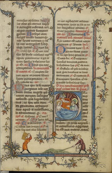 Initial P: The Nativity; Paris, France; about 1320 - 1325; Tempera colors, gold leaf, and ink on parchment; Leaf: 16.7 x 11.1 cm