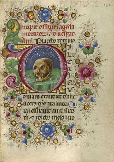 Initial D: A Skull in a Rocky Field; Taddeo Crivelli, Italian, died about 1479, active about 1451 - 1479, Ferrara