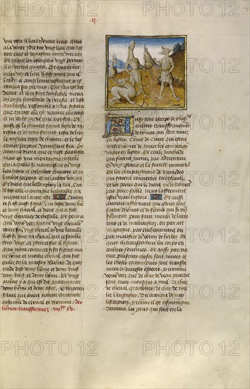 Hybrids; Ghent, Belgium; about 1475; Tempera colors, gold leaf, and gold paint on parchment; Leaf: 43.8 x 30.5 cm