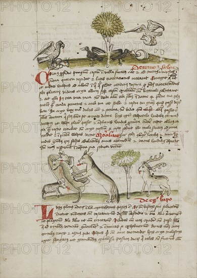 A Dog Biting a Wolf Laying Near his Den and Nearby a Sheep, a Donkey and a Stag; Trier, probably, Germany