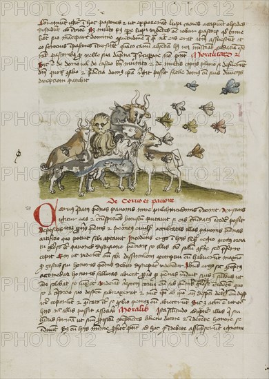 A Swarm of Insects Flying above a Group of Animals; Trier, probably, Germany; third quarter of 15th century; Pen and black ink