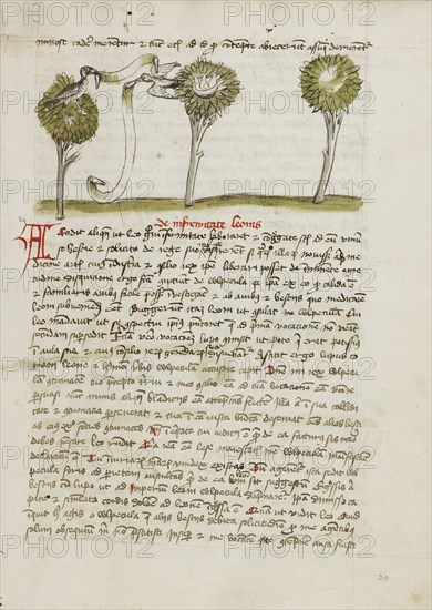 A Goshawk in a Tree and a Nightingale Flying Away from its Nest; Trier, probably, Germany; third quarter of 15th century; Pen