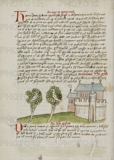 A Bird Perched in a Tree near a Town; Trier, probably, Germany; third quarter of 15th century; Pen and black ink and colored