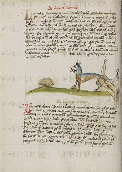 A Hedgehog and a Wolf; Trier, probably, Germany; third quarter of 15th century; Pen and black ink and colored washes on paper