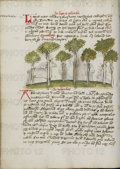 A Forest; Trier, probably, Germany; third quarter of 15th century; Pen and black ink and colored washes on paper; Leaf