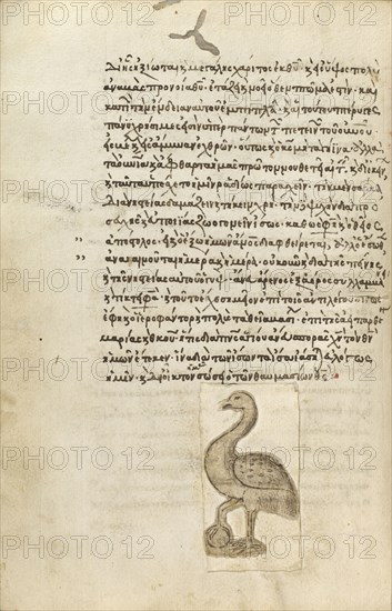 A Crane; Crete, Greece; 1510 - 1520; Pen and red lead and iron gall inks, watercolors, tempera colors, and gold paint on paper