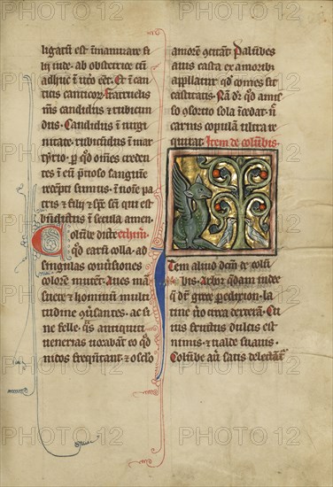 A Dragon and Two Doves in a Tree; Thérouanne ?, France, formerly Flanders, fourth quarter of 13th century, after 1277, Tempera