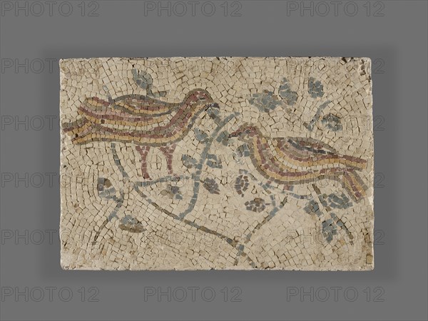 Fragment of a Mosaic with Birds; Rome, Lazio, Italy; 3rd or 4th century; Stone mosaic tesserae; 23.5 × 34 cm, 9 1,4 × 13 3,8 in