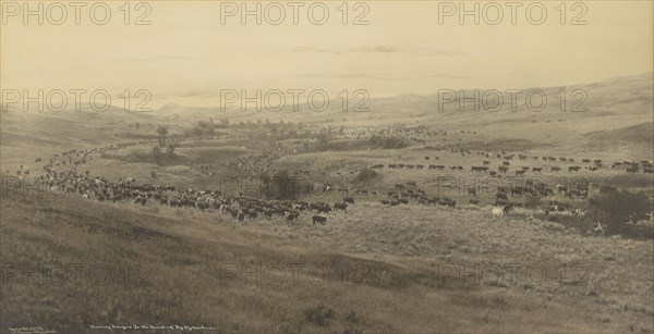 Throwing Rangers to the Round-up, Big Dry, Montana; Laton Alton Huffman, American, 1854 - 1931, 1907; Hand-colored gelatin