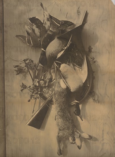 Still Life: Dead Game; Adolphe Braun, French, 1812 - 1877, about 1880; Carbon print; 75.6 × 55.6 cm, 29 3,4 × 21 7,8 in