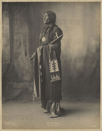 Chief Wolf Robe, Cheyenne; Adolph F. Muhr, American, died 1913, Frank A. Rinehart, American, 1861 - 1928, 1899; Platinum print