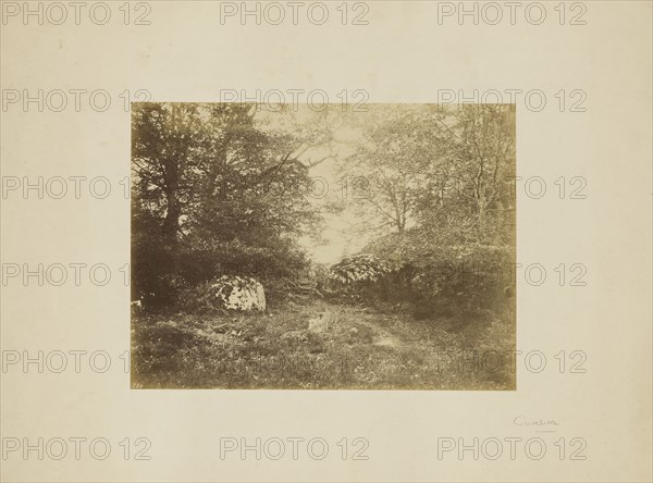 Landscape study; Eugène Cuvelier, French, 1837 - 1900, about 1855; Albumen silver print