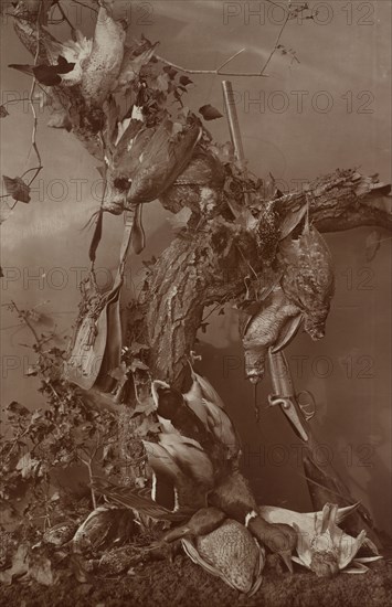 Still Life: Dead Game; Adolphe Braun, French, 1811 - 1877, about 1880; Carbon print; 69.7 x 45.2 cm, 27 7,16 x 17 13,16 in