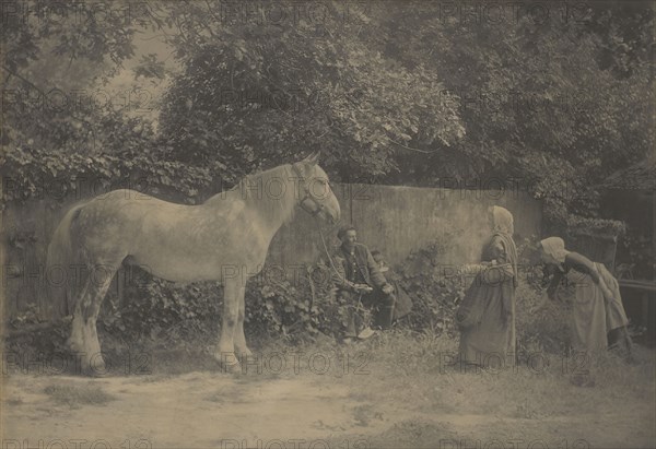 Old Dapple; Henry Peach Robinson, British, 1830 - 1901, 1899; Platinum print; 43.8 x 65.7 cm, 17 1,4 x 25 7,8 in