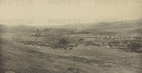 Throwing Rangers to the Roundup; Laton Alton Huffman, American, 1854 - 1931, 1907; Gravure; 39.4 x 75.7 cm
