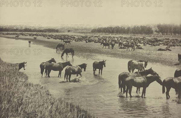 Hot Noon beside the Round-up camp; Laton Alton Huffman, American, 1854 - 1931, negative July 19, 1904; print 1907; Gravure