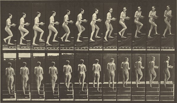 Animal Locomotion; Eadweard J. Muybridge, American, born England, 1830 - 1904, 1887; Collotype; 19.7 x 34.8 cm