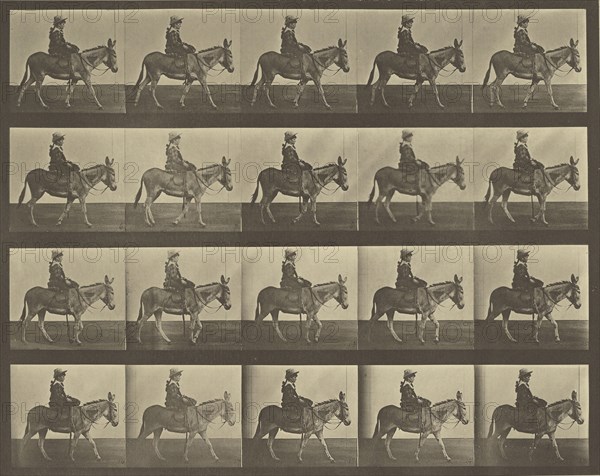Animal Locomotion; Eadweard J. Muybridge, American, born England, 1830 - 1904, 1887; Collotype; 23.8 x 29.5 cm
