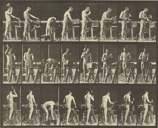Animal Locomotion; Eadweard J. Muybridge, American, born England, 1830 - 1904, 1887; Collotype; 23.7 x 29.5 cm